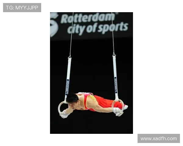 世界蹦床锦标赛空中转体的轴向稳定性模型